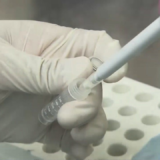 「新型コロナウイルスは変異が激しいからPCR検査で発見できない」はデマ