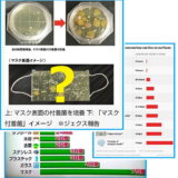 「マスクは菌やウイルスだらけで不潔だから付けるな」はデマ